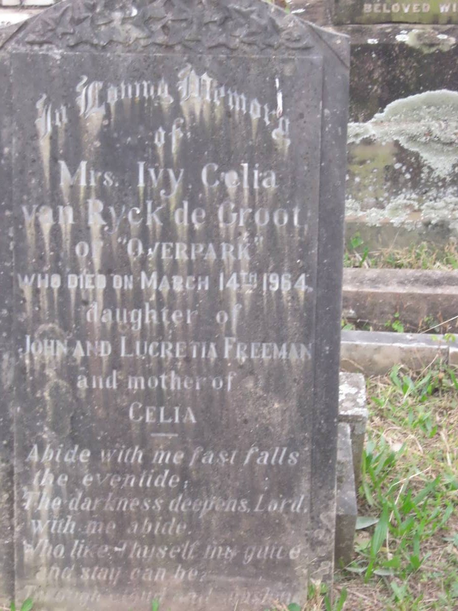GROOT Ivy Celia van Ryck, de nee FREEMAN -1964