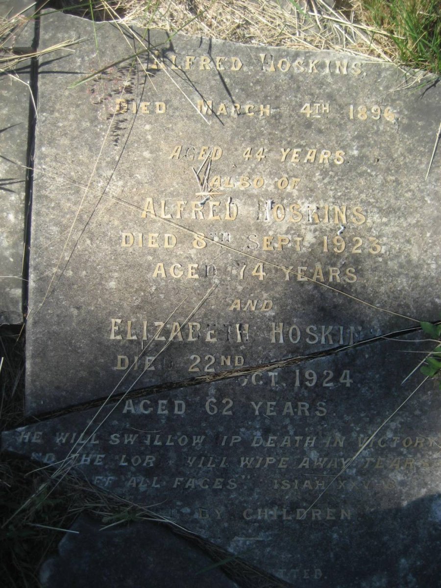 HOSKINS Alfred -1896 :: HOSKINS Alfred -1923 :: HOSKINS Elizabeth -1924