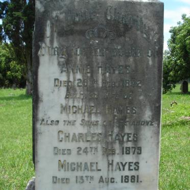 HAYES Annie -1872 :: HAYES Charles -1879 :: HAYES Michael -1881