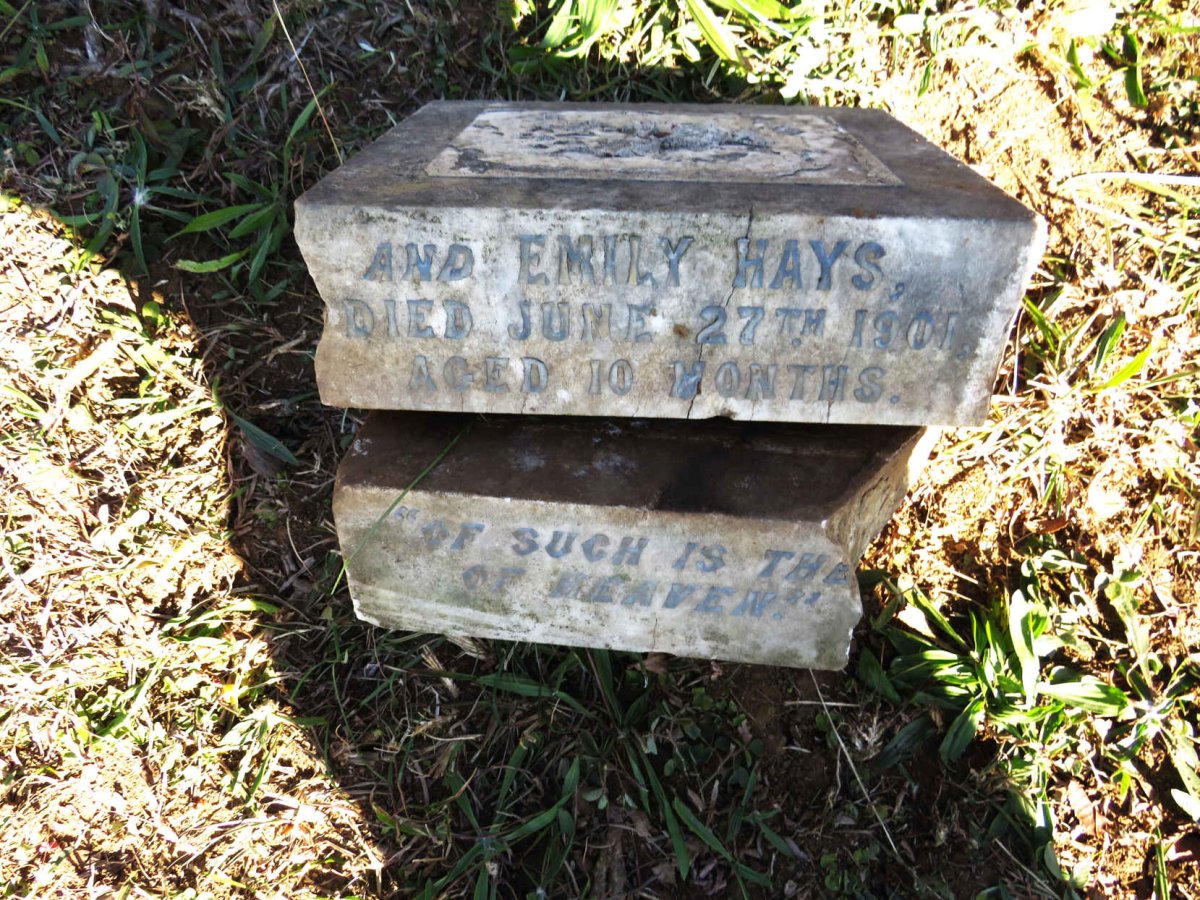 HAYS Emily -1901