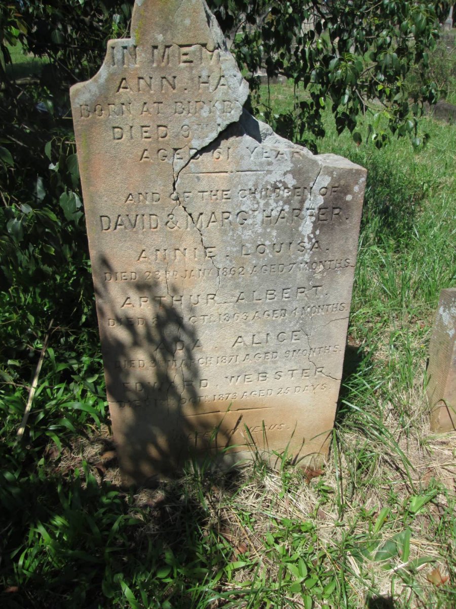 HARPER Annie Louisa -1862 :: HARPER Arthur Albert -1863 :: HARPER Ada Alice -1871 :: HARPER Edward Webster -1873 :: HA? Ann