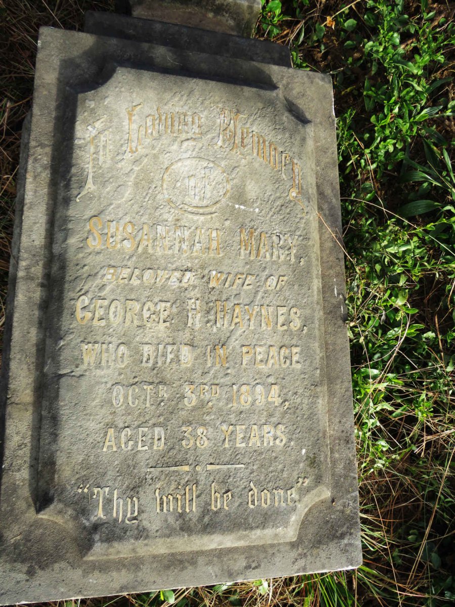 HAYNES Susannah Mary -1894