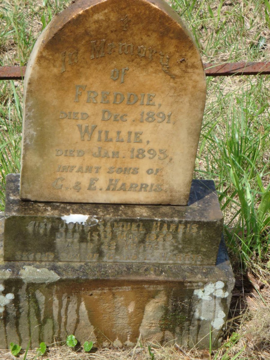 HARRIS Freddie -1891 :: HARRIS Willie -1893