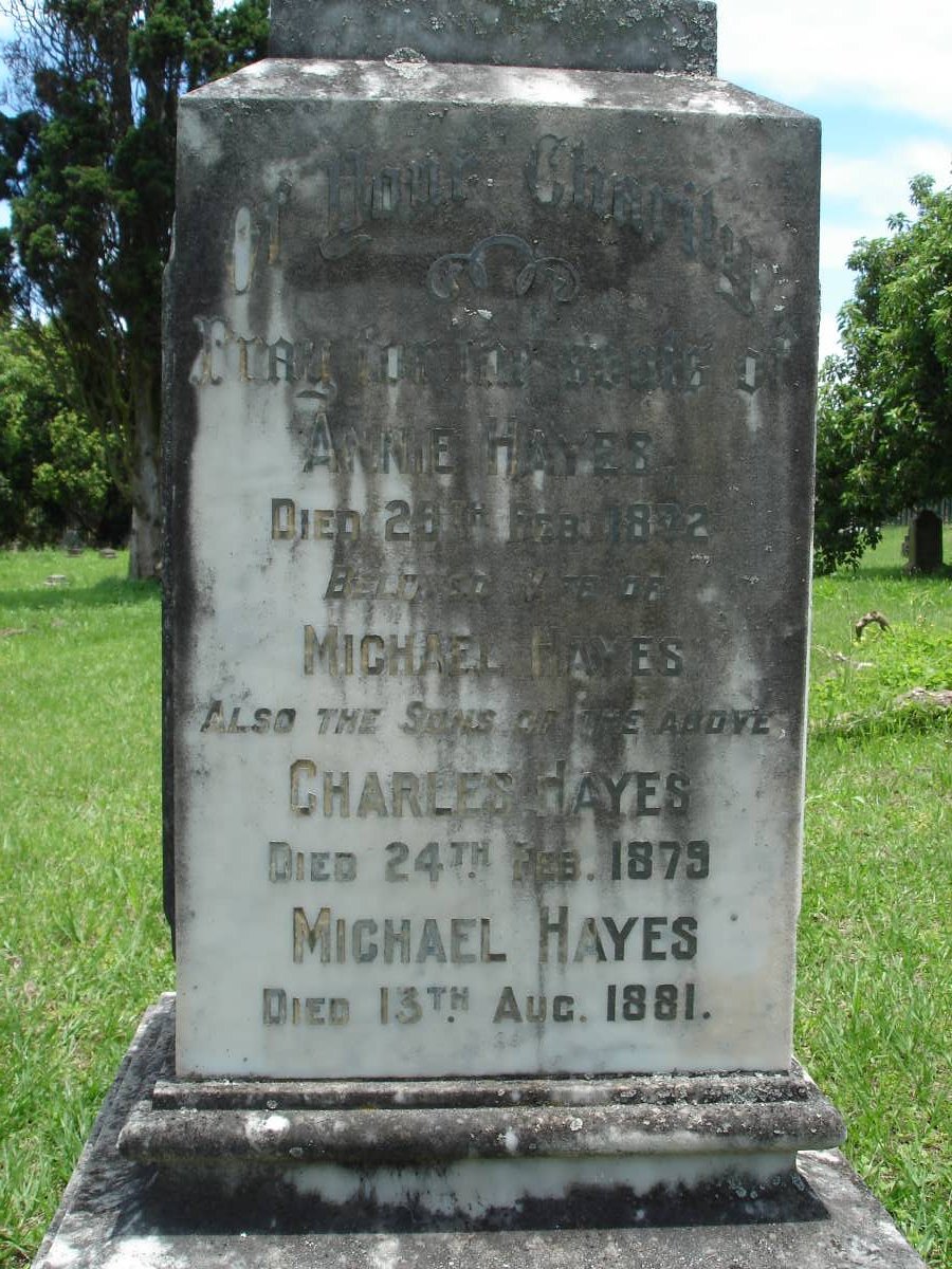 HAYES Annie -1872 :: HAYES Charles -1879 :: HAYES Michael -1881