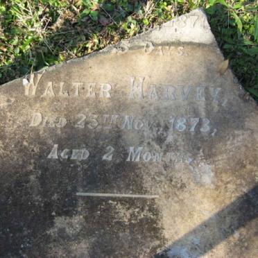 HARVEY Walter -1873