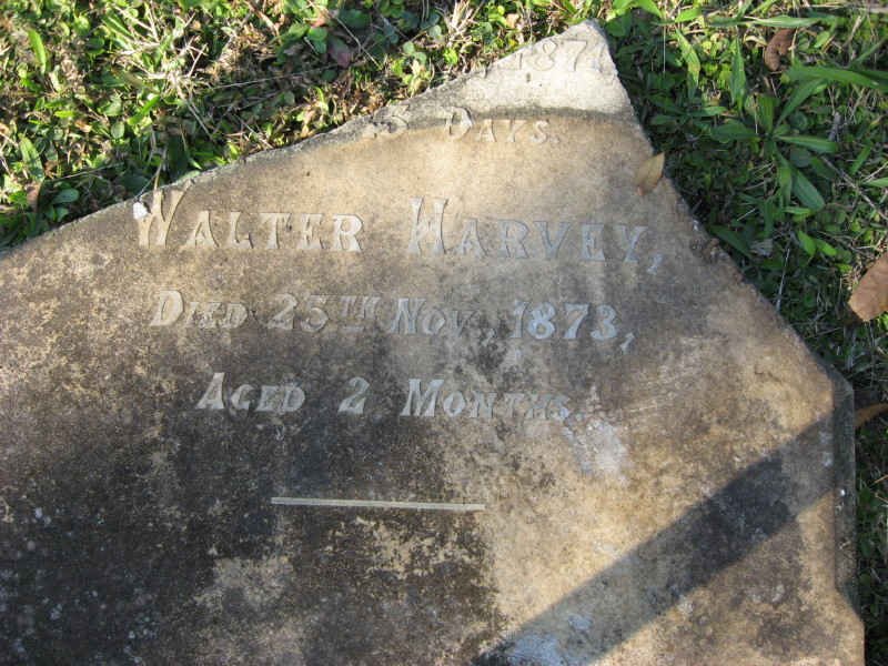 HARVEY Walter -1873