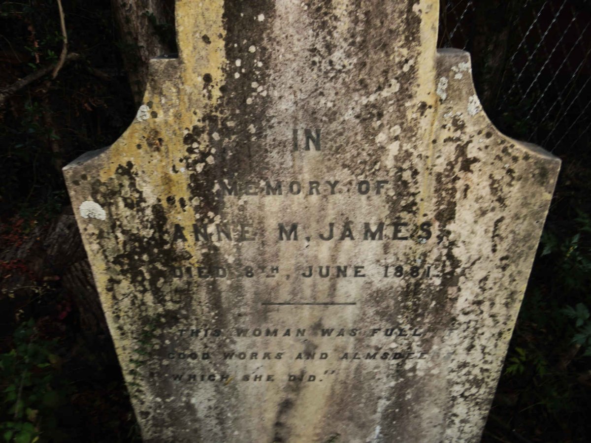 JAMES Anne M. -1881