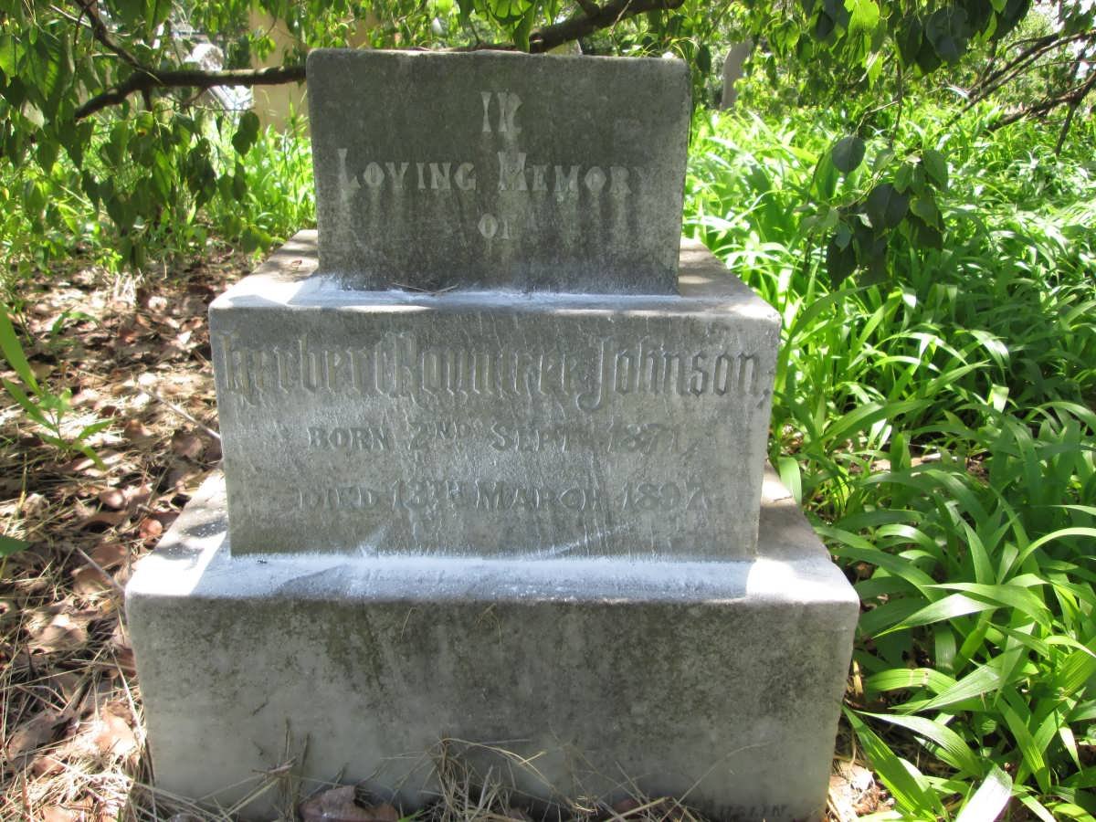 JOHNSON Herbert Rowntree 1871-1892