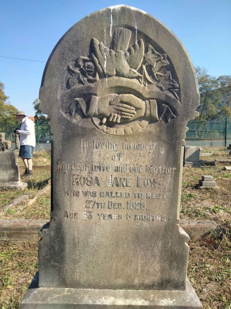 LOW Rosa Jane -1929