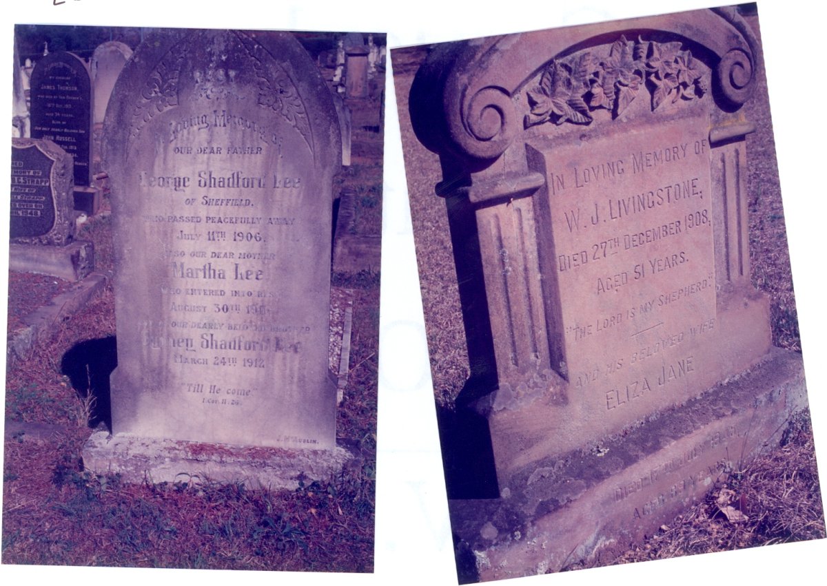 LIVINGSTONE W.J. -1908 :: LEE George Shadford -1906 & Martha -190? :: LEE Sydney Shadford -1912 