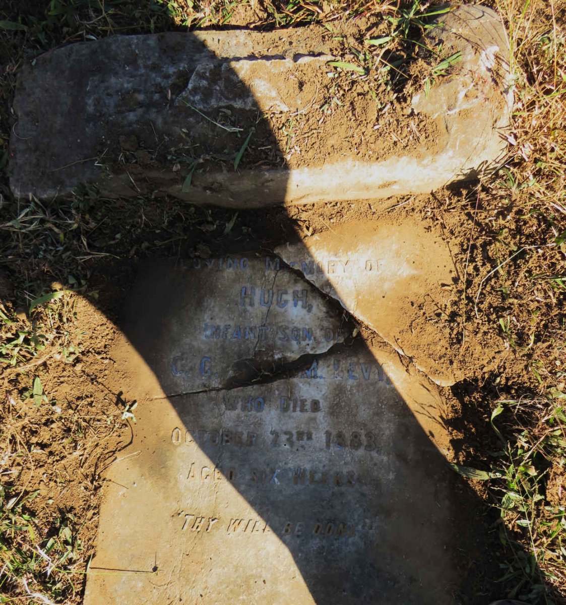 LEVY Hugh -1883
