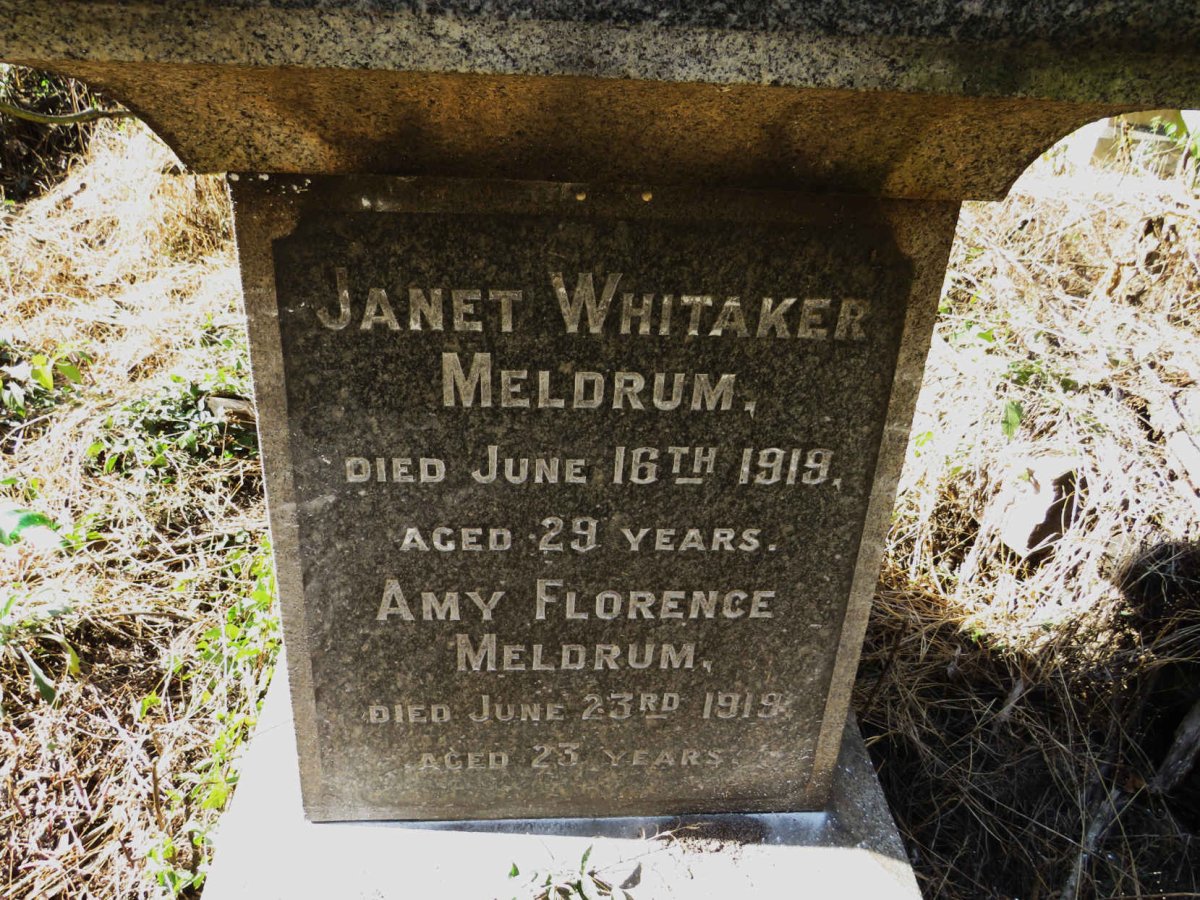 MELDRUM Janet Whitaker -1919 :: MELDRUM Amy Florence -1919