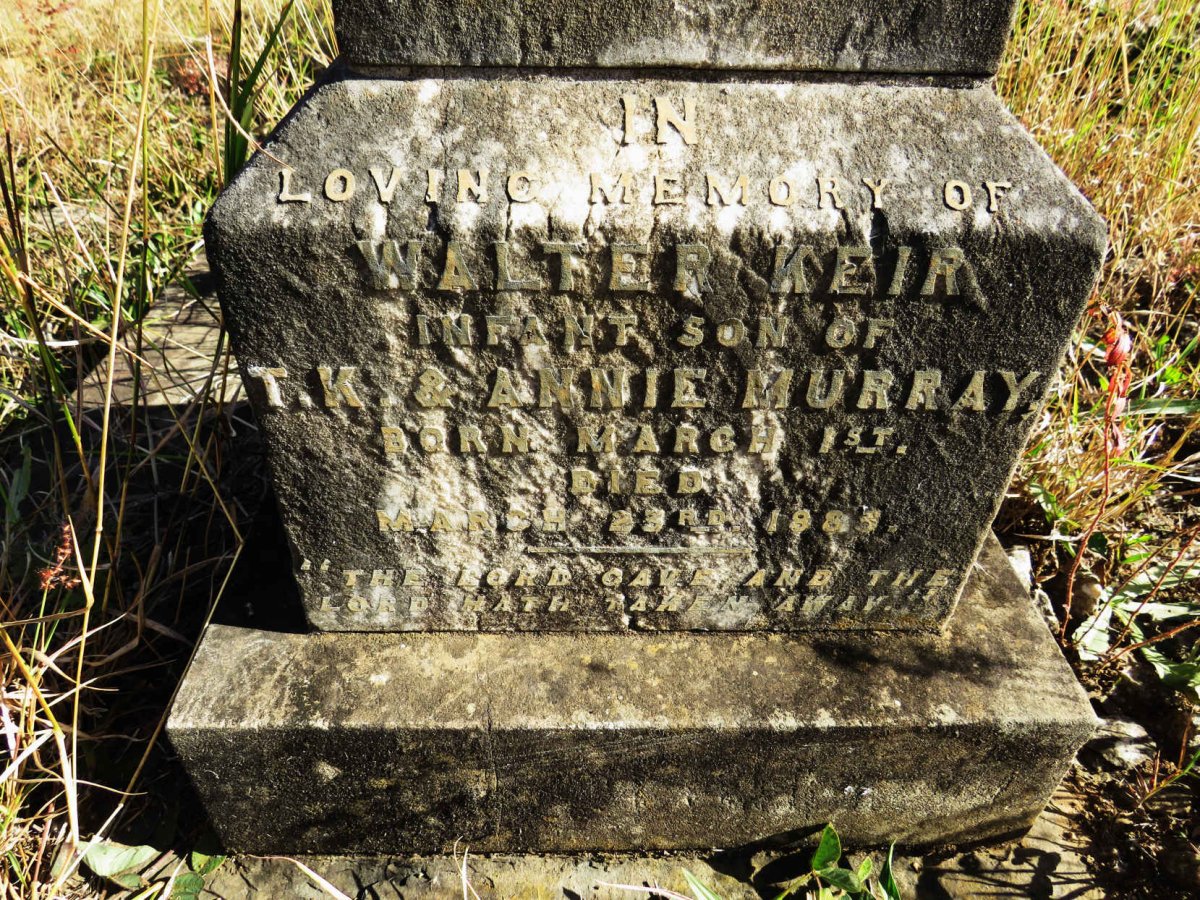 MURRAY Walter Keir -1883