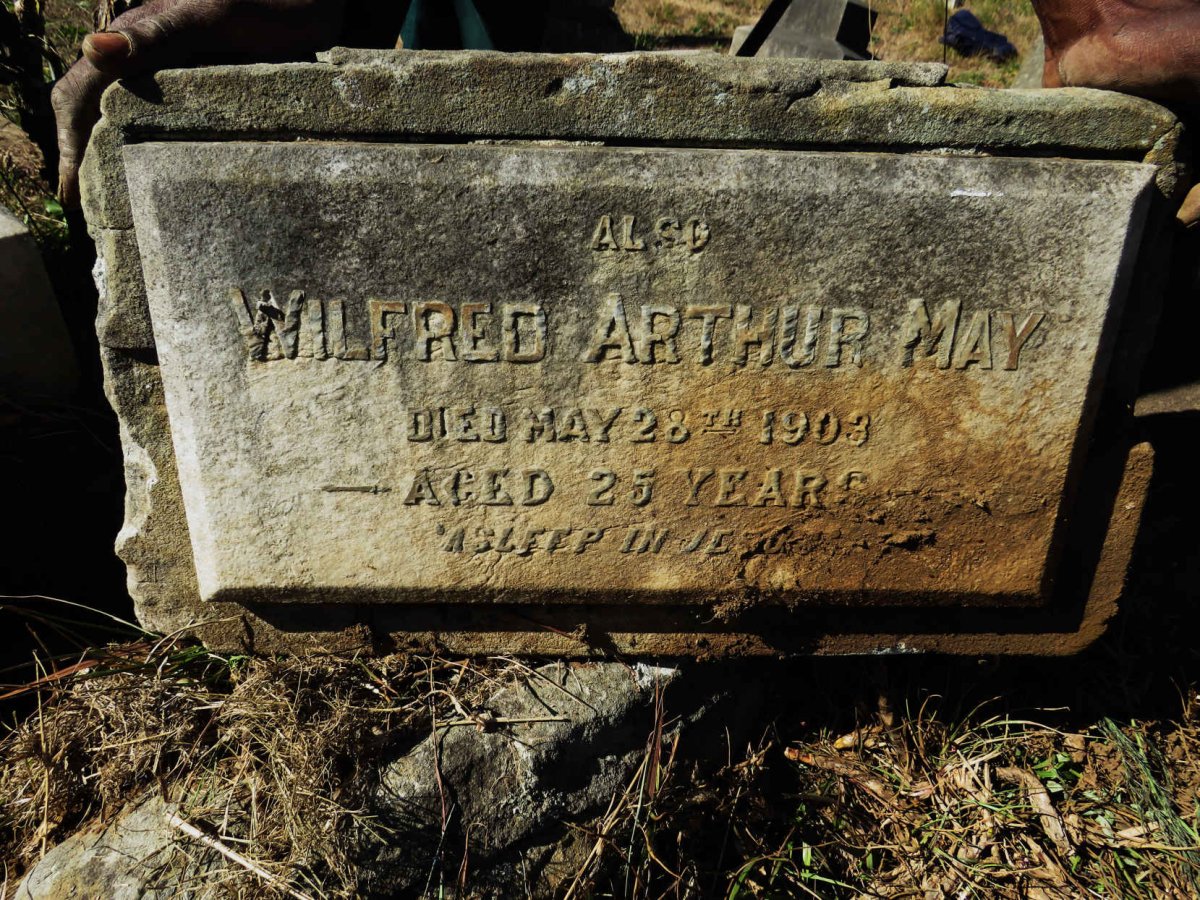 MAY Wilfred Arthur -1903