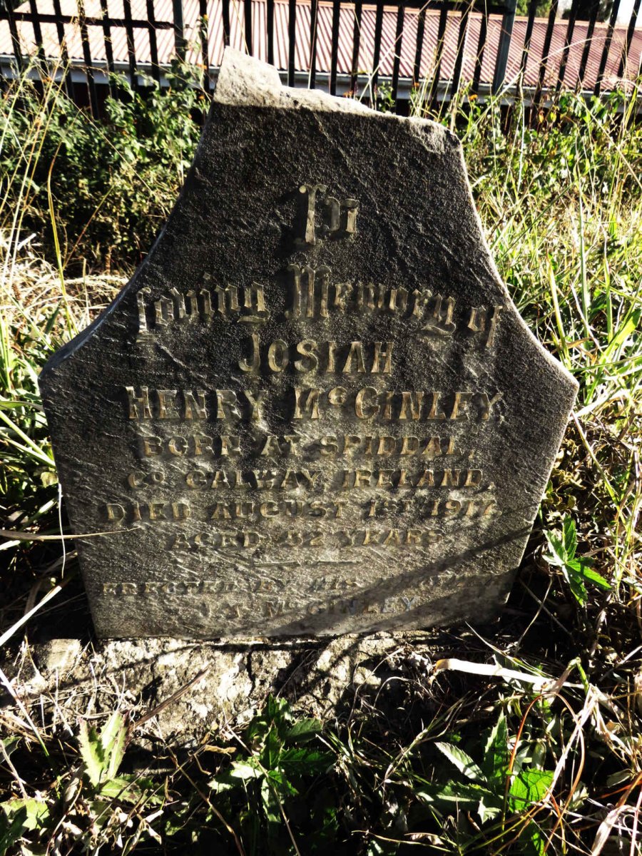 MCGINLEY Josiah Henry -1917