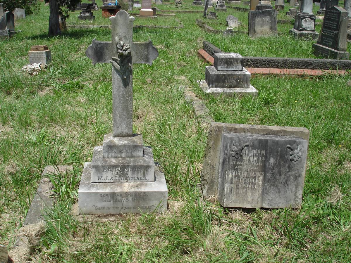 MITCHELL Walter James 1875-1932 :: MITCHELL Harry James 1905-1910