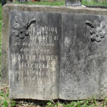 MITCHELL Walter James 1875-1932