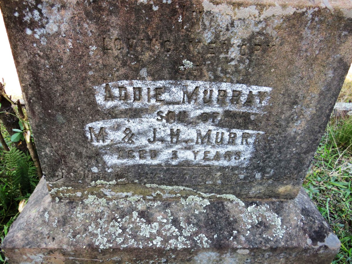 MURRAY Addie