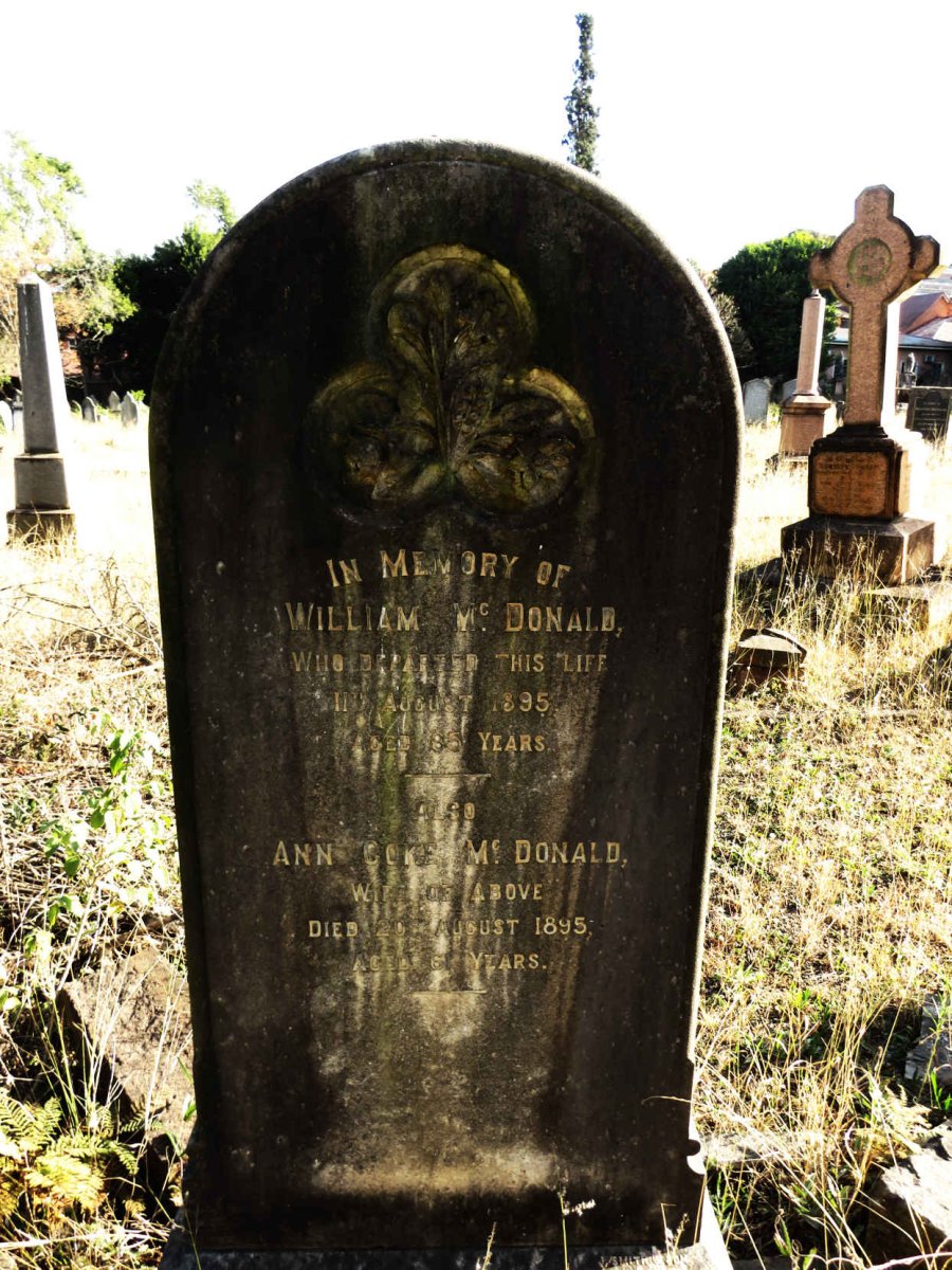 MCDONALD William -1895 & Ann Coke -1895