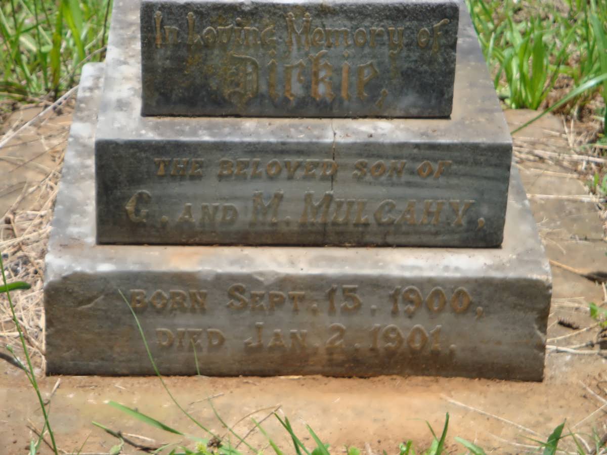 MULCAHY Dirkie 1900-1901