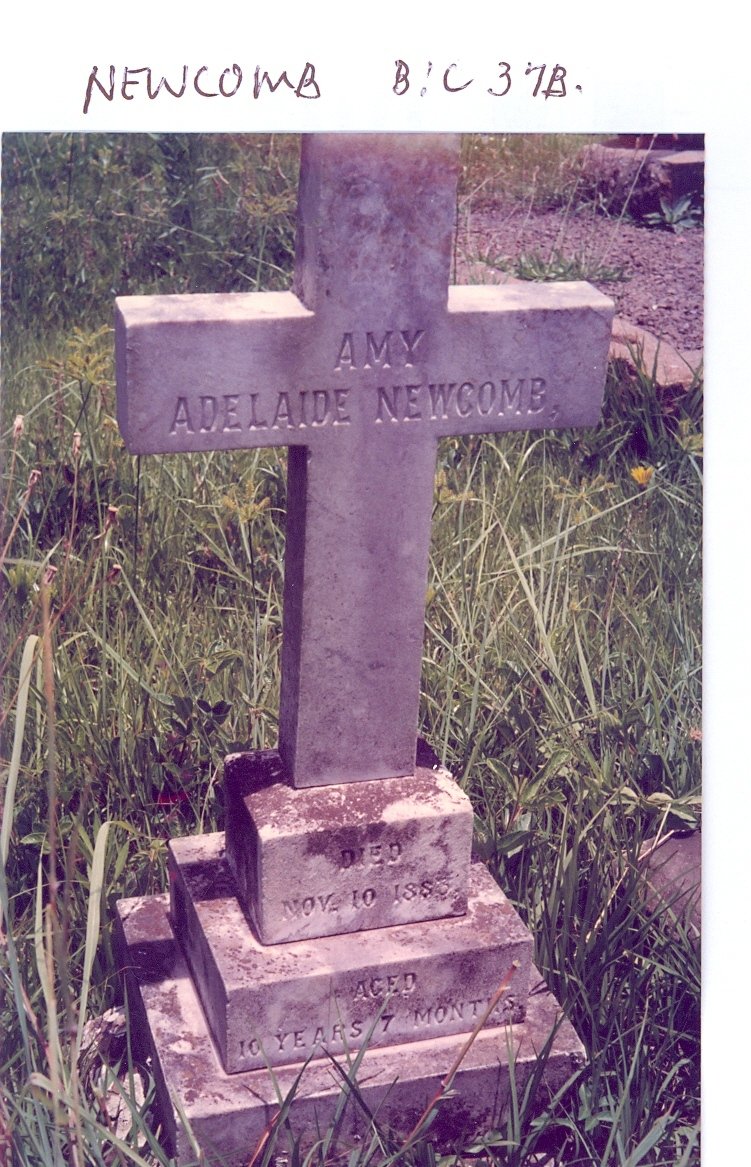 NEWCOMB Amy Adelaide -1883