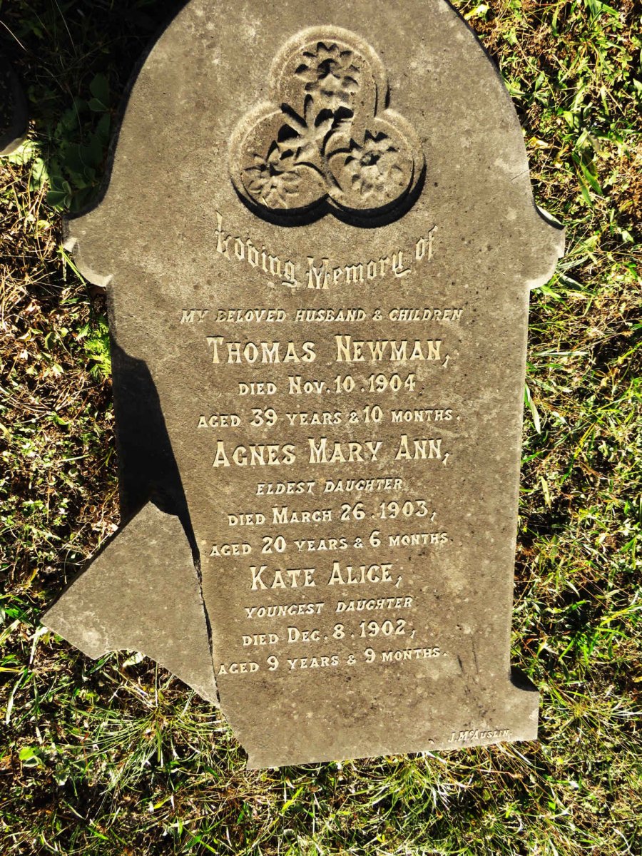NEWMAN Thomas -1904 :: NEWMAN Agnes Mary Ann -1903 :: NEWMAN Kate Alice -1902