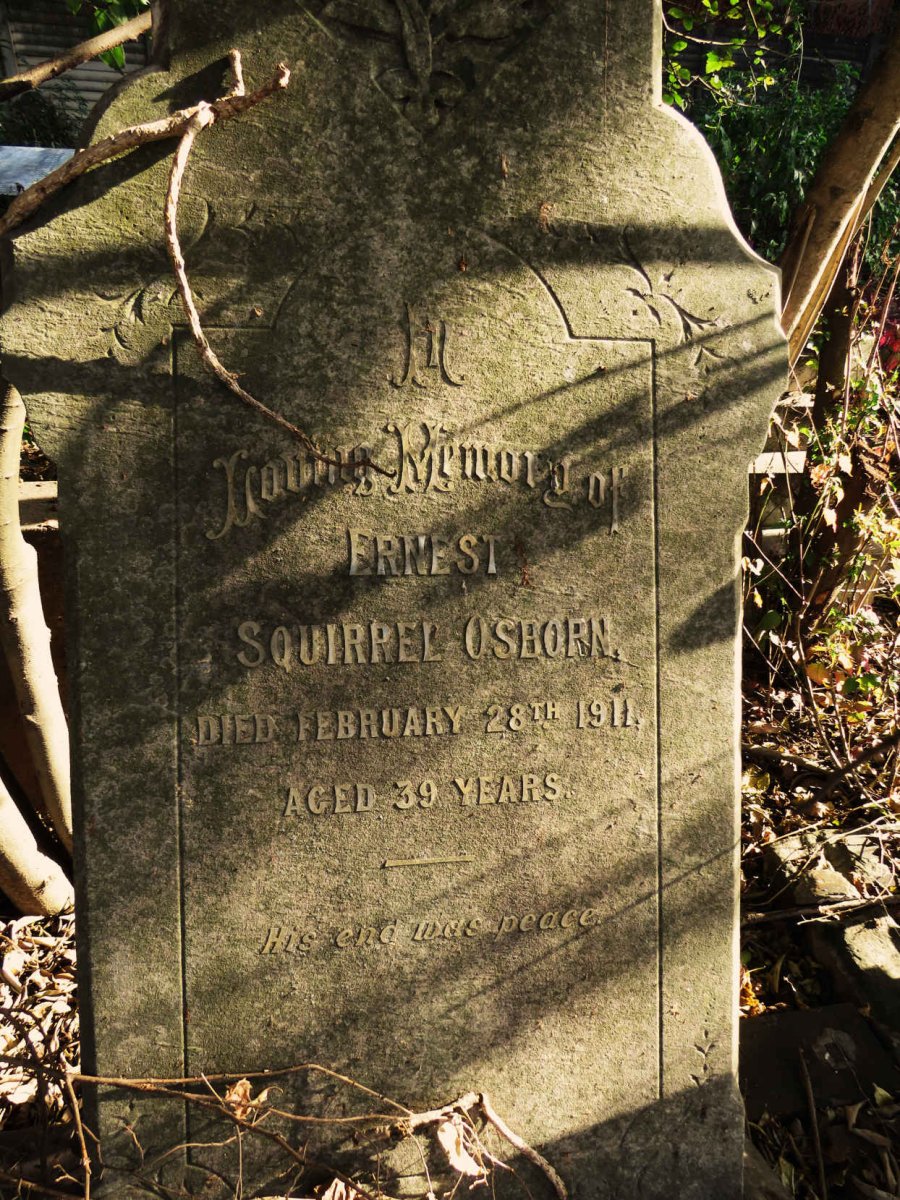 OSBORN Ernest Squirrel -1911