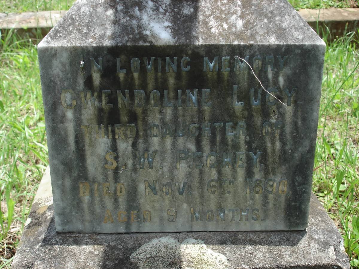 PECHEY Gwendoline Lucy -1890