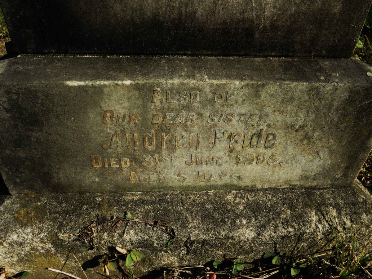 PRIDE Audrey -1905