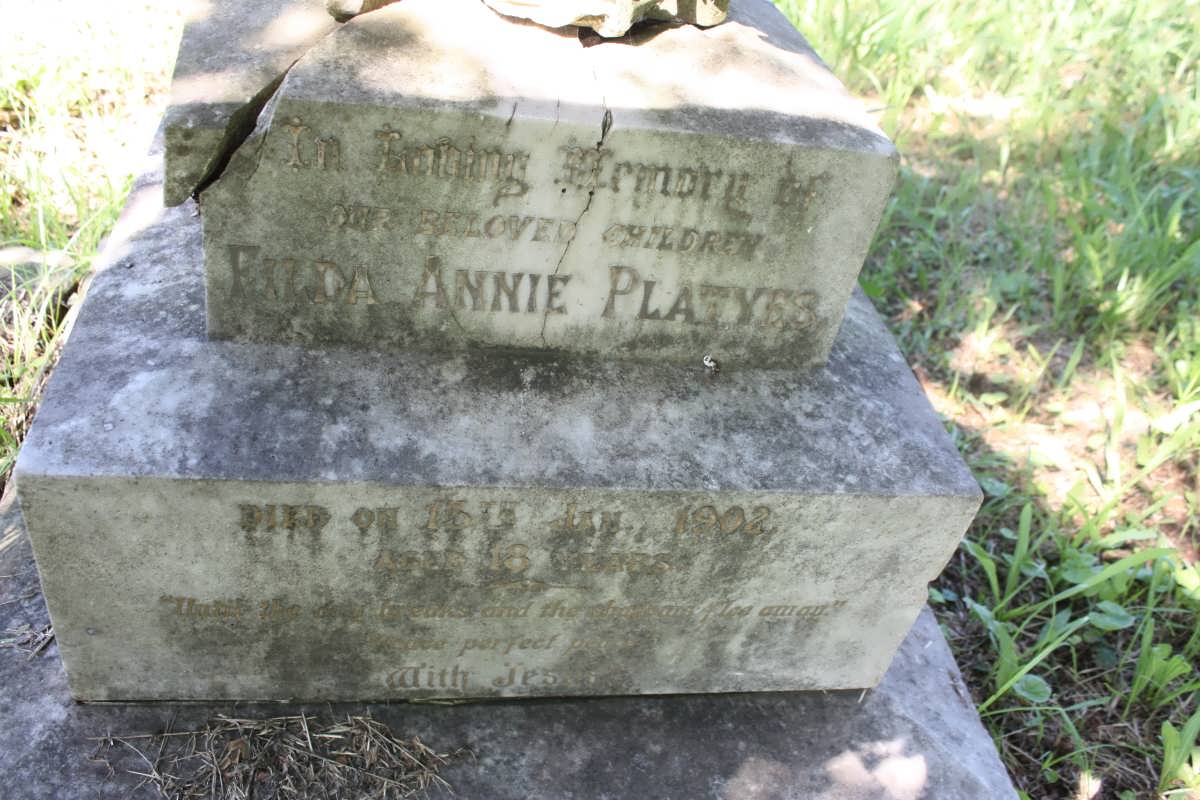 PLATYES Filda Annie -1902
