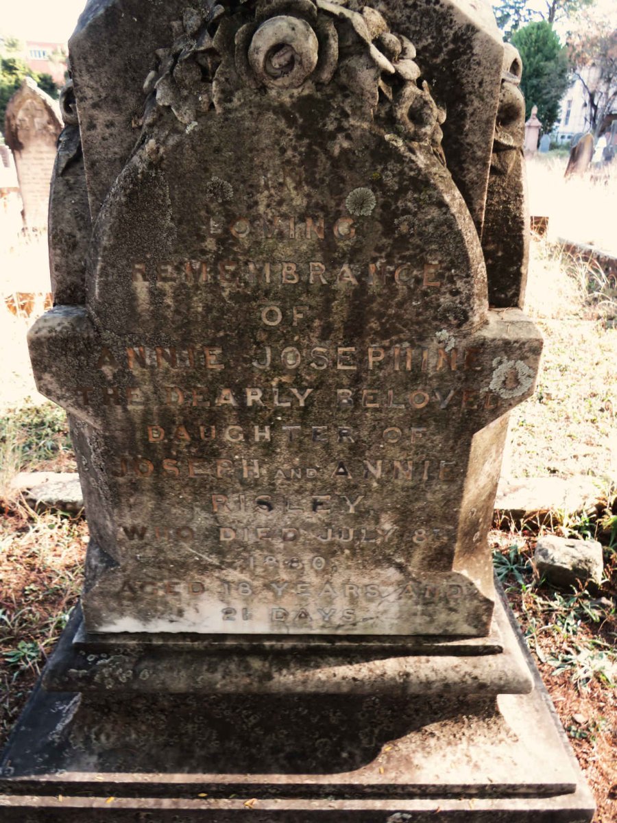 RISLEY Annie Josephine -1880