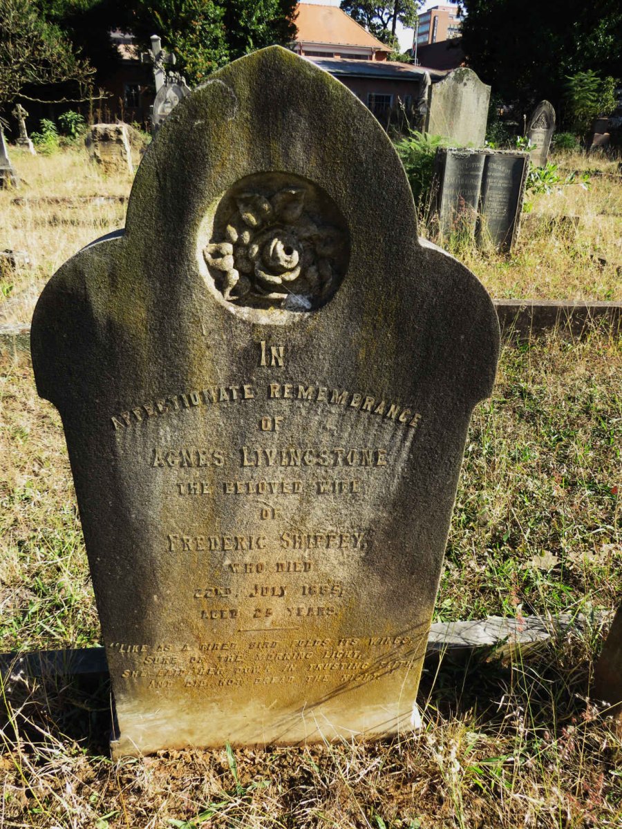 SHIPPEY Agnes Livingstone -1885