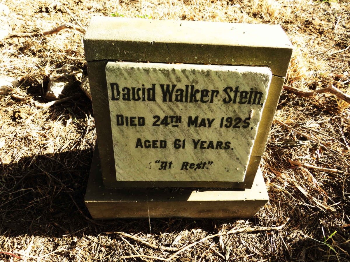 STEIN David Walker -1925