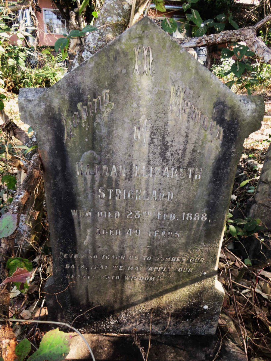 STRICKLAND Hannah Elizabeth -1888