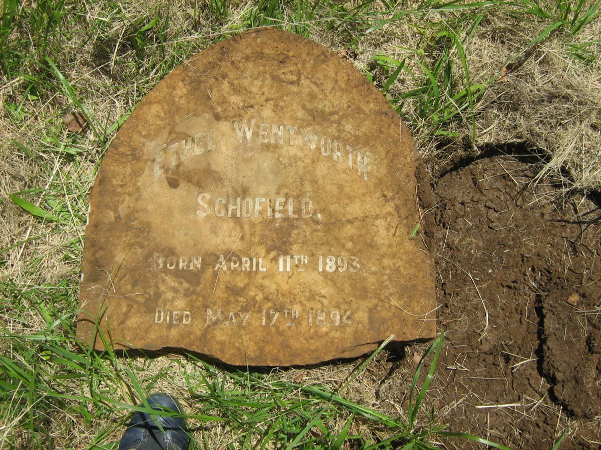 SCHOFIELD Ethel Wentworth 1893-1894