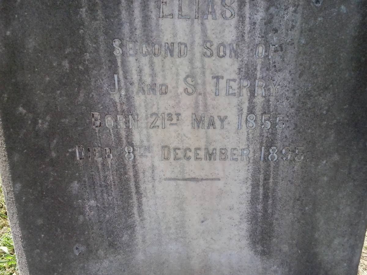TERRY Elias 1855-1895