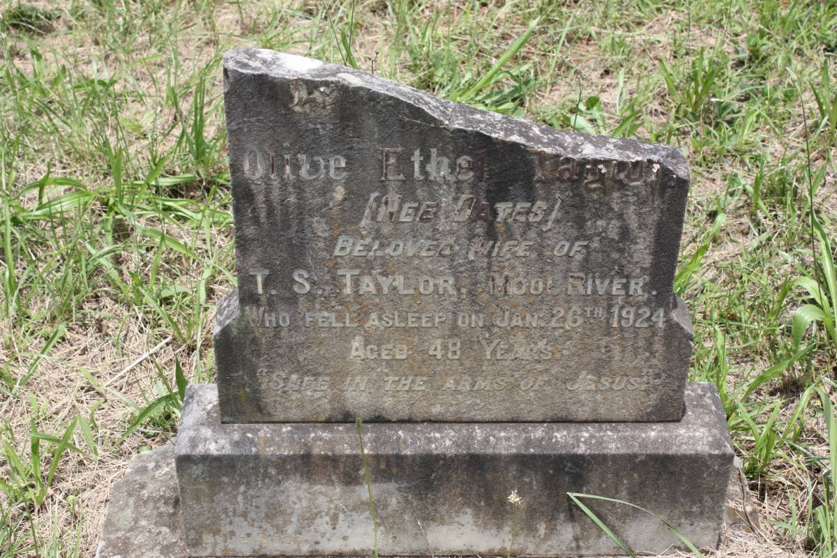 TAYLOR Olive Ethel nee OATES -1924