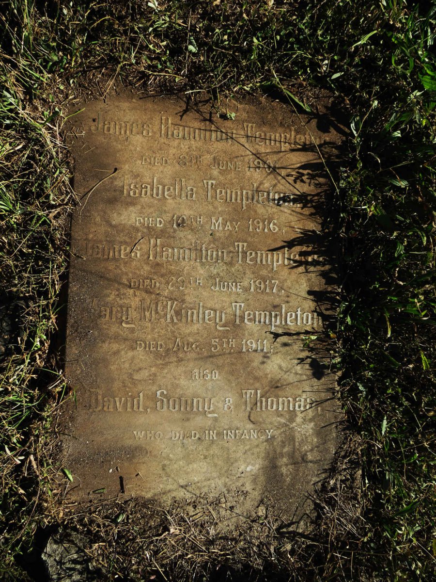 TEMPLETON James Hamilton -1901 :: TEMPLETON Isabella -1916 :: TEMPLETON James Hamilton -1917 :: TEMPLETON Mary Mckinley -1911 :: TEMPLETON David :: TEMPLETON Sonny :: TEMPLETON Thomas