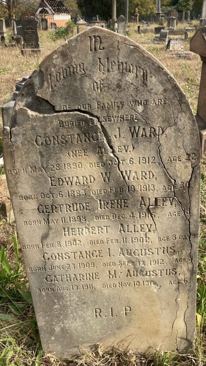 WARD :: ALLEY :: AUGUSTUS