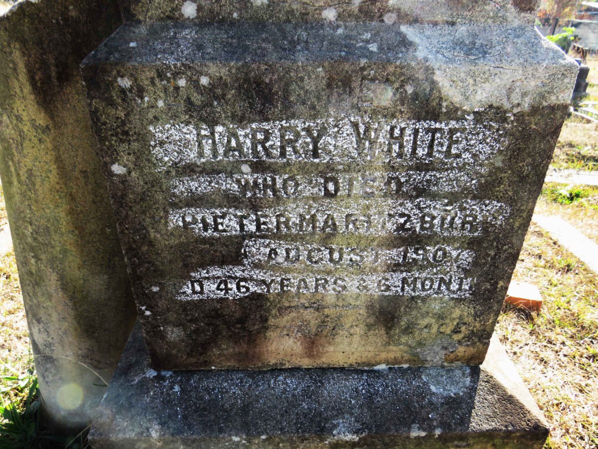 WHITE Harry -1907