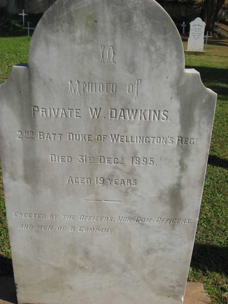 DAWKINS W. -1895