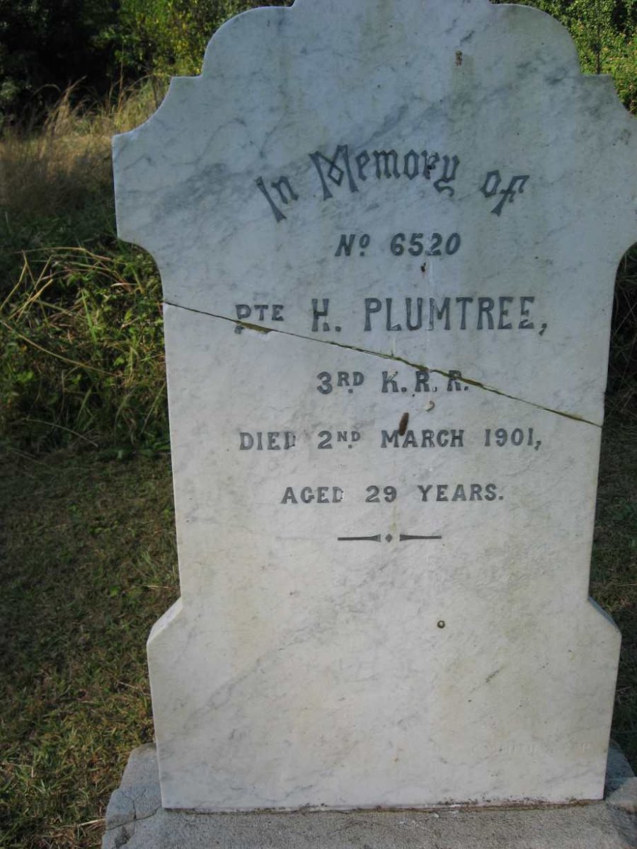 PLUMTREE H. -1901