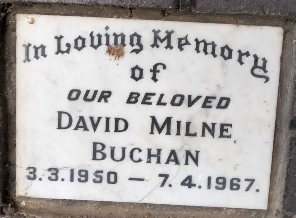 BUCHAN David Milne 1950-1967