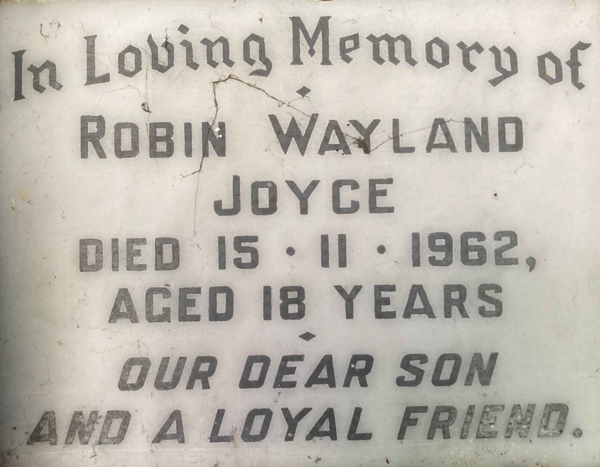 JOYCE Robin Wayland -1962