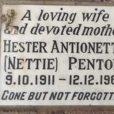 PENTON Hester Antionette 1911-1966