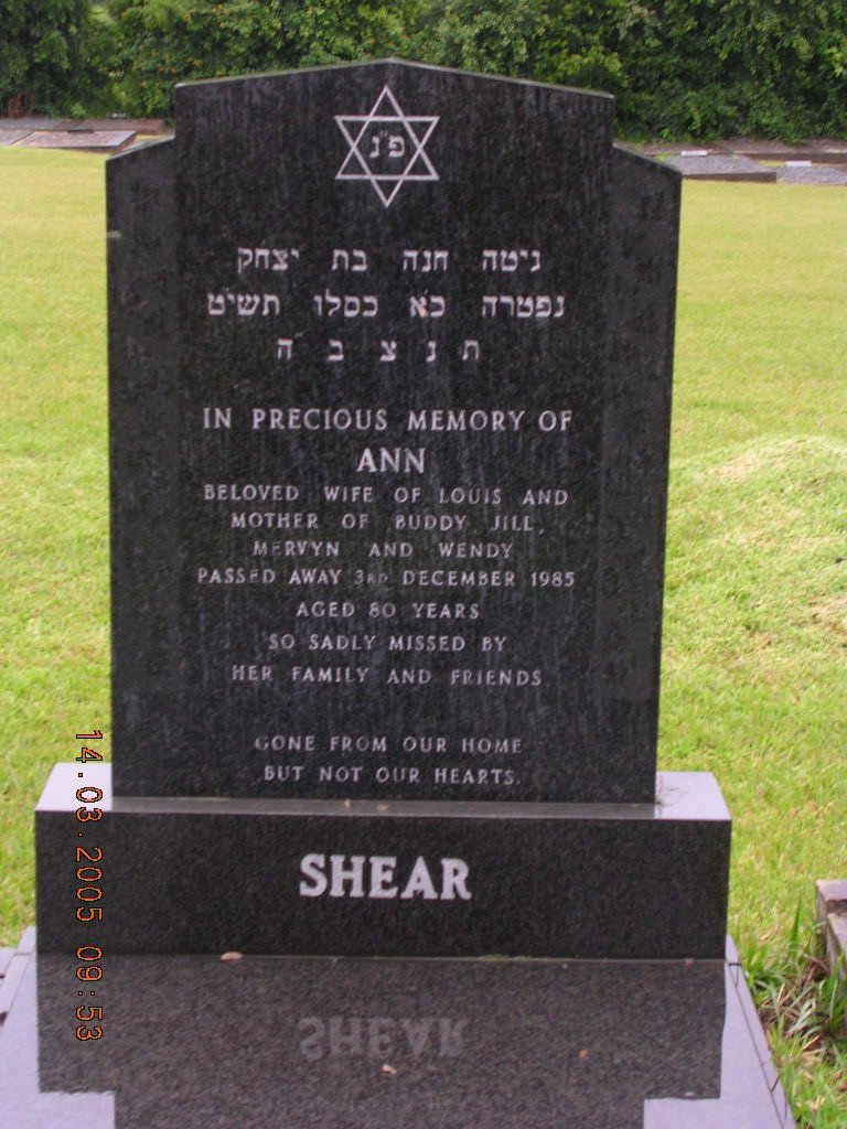 SHEAR Ann -1985