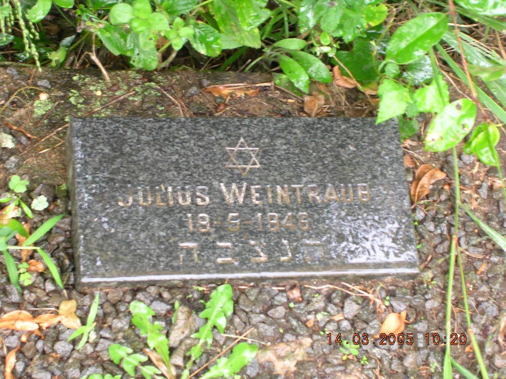 WEINTRAUB Julius -1946