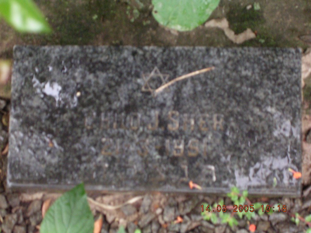 SHER -19?1