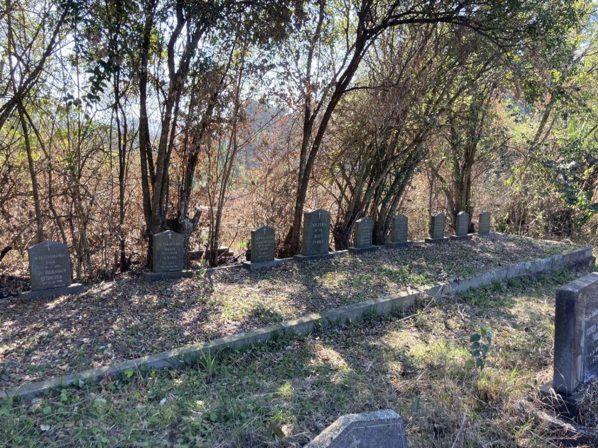 2. Sisters of the Holy Family overview