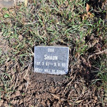 ? Shaun 1967-1993